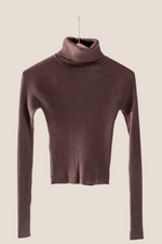 Stay Warm Ribbed Turtleneck- brown
